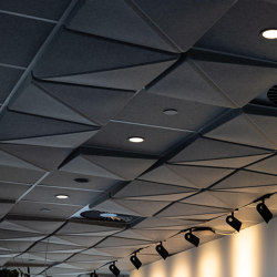 3D Ceiling Tiles - Molded ceiling tile | Acoustic ceiling systems | Autex Acoustics